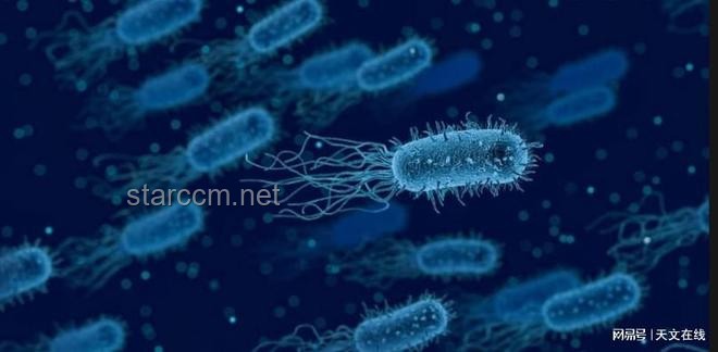 **中国空间站揭秘：微生物新物种的惊人发现**